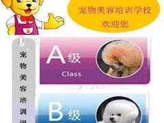 优缇多格宠物美容培训学校课程-优缇多格专业宠物美容师培训学校