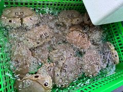-众味海鲜大排档·活海鲜·潮汕味(南澳店)