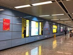 -大龙山(地铁站)