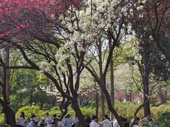 -洛阳市隋唐城遗址植物园