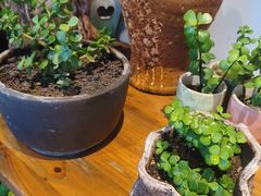 -茶油香闽南菜·花园餐厅(前埔店)