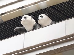 -白玉兰广场停车场