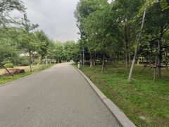 -长白岛森林公园