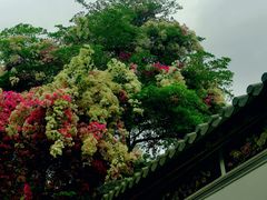 -深圳国际园林花卉博览园