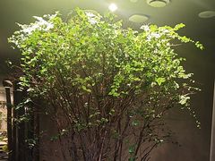 -森SPA·泰式按摩·精油Massage(宝安中心店)