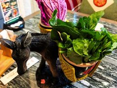 -慢丽江·云南野生菌土鸡锅(付家庄店)