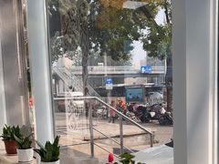 -北京观赏动物医院·24小时大型综合·猫专科·异宠专科