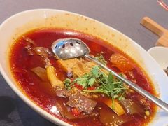 -羲和雅苑•北京烤鸭(平安国际金融中心店)