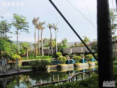 -抚仙湖万达文华酒店