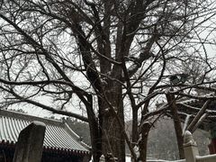 -红螺寺