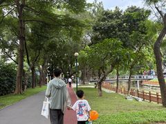 -荔湾湖公园