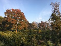 -塔川景区