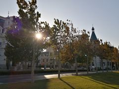 -东港音乐喷泉广场