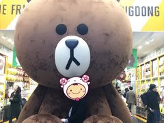 -line friends(明洞旗舰店)