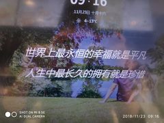 -泗洪洪泽湖湿地景区