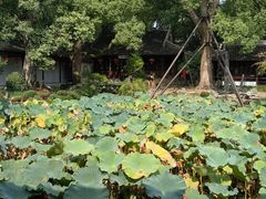 -上海方塔园