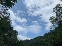 -南海湾森林生态园