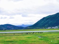 -纳帕海依拉草原