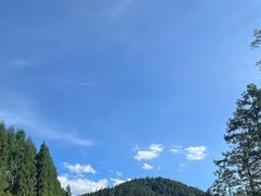 -武陵山森林公园