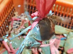 -巽寮印象美食部落餐厅·海鲜·地方特色菜(惠州体验店)