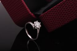 _DSC4954-威德钻石-克拉钻大本营(南京东路店)