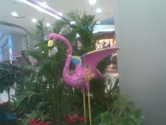 店内环境-凯德广场(学府店)