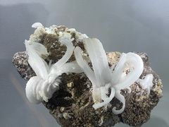 -南京维景国际大酒店(南京博物院店)