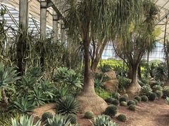 -南通洲际绿博园