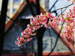 -静安雕塑公园