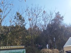 -云龙山