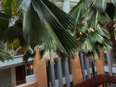 -三亚海棠湾万丽度假酒店