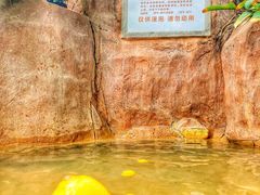 -泉眼温泉