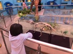 -陕西自然博物馆