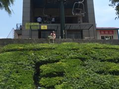 -南戴河国际娱乐中心