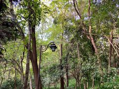 -杭州半山国家森林公园