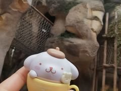 -杭州开元森泊度假乐园