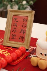 -星摇篮月子中心(市妇幼店)