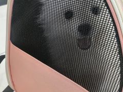 -艾吉宠物医院·疑难杂症转诊中心·猫友好(碧江路院)