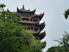 -黄鹤楼公园(黄鹤楼)