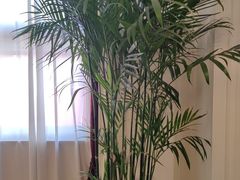 -洛阳宴·洛阳菜(南昌路店)
