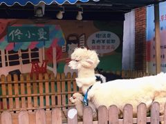 -佟小曼手工茶饼坊(鼓浪屿1店)