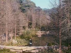 -云溪植物园