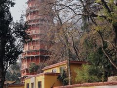 -宝通禅寺