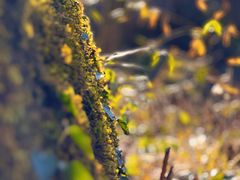 -山王坪喀斯特国家生态公园