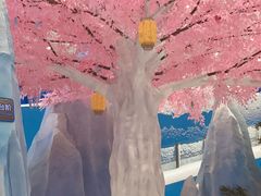 -湘江欢乐城欢乐雪域