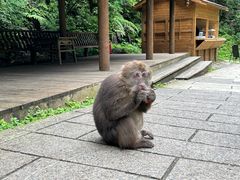 -西岭雪山大飞水景区