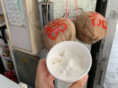 -洪馨椰子
