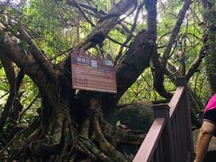 -七仙岭温泉国家森林公园