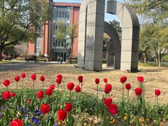 -华东理工大学徐汇校区第一食堂