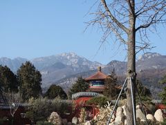-泰山风景名胜区-虎山公园